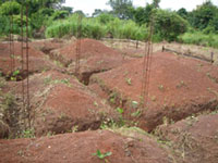 Travaux du dispensaire de santé de Zavé, Togo